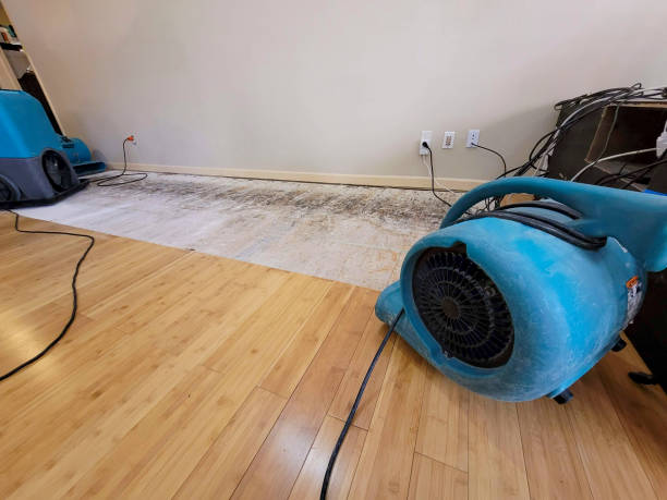 Professional Water Damage Repair technician working in Valencia, PA
